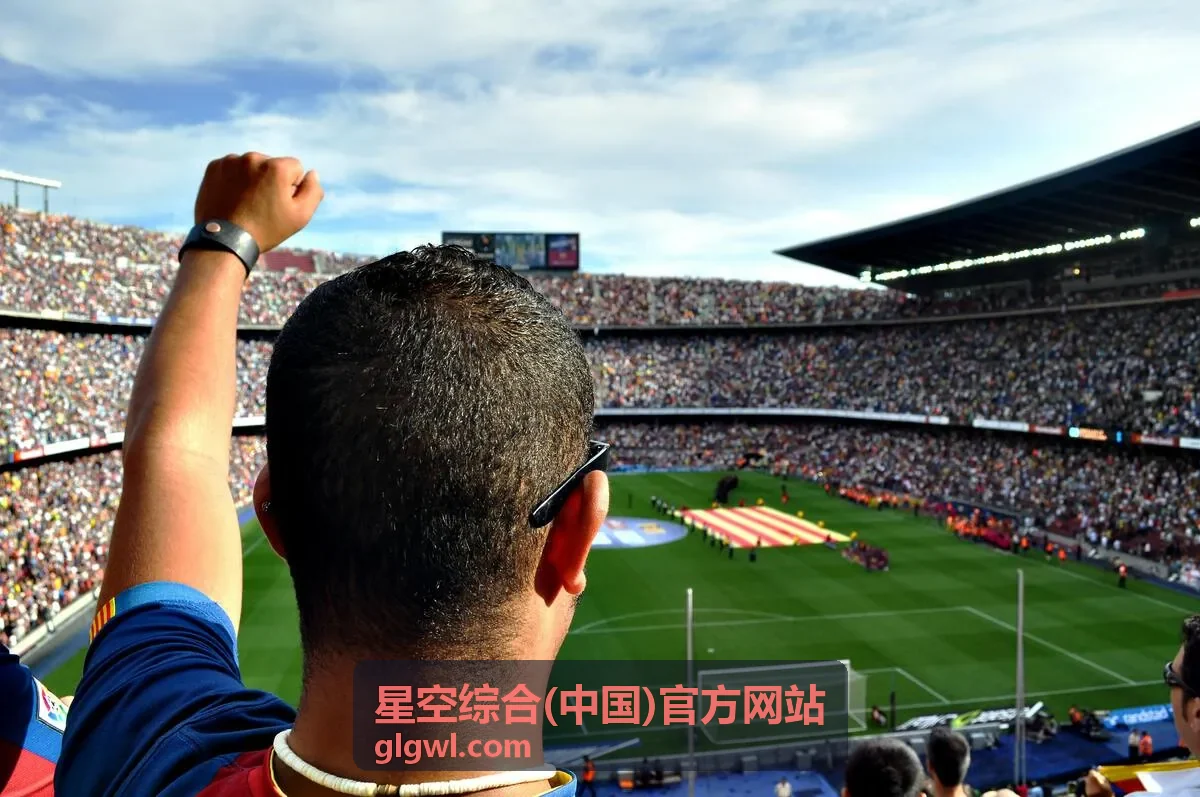 星空综合(中国)官方网站 客户端主界面概览